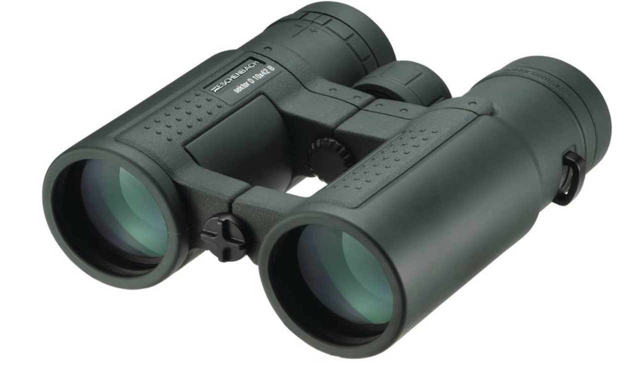Eschenbach Sektor D 42