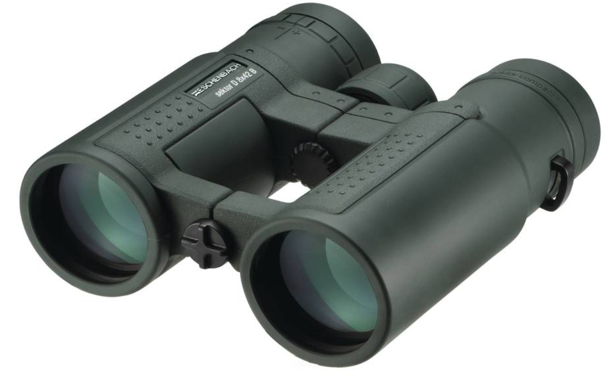 Eschenbach Sektor D 42
